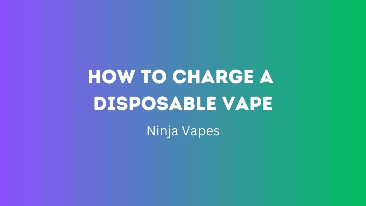 How to Charge A Disposable Vape?How to Resurrect Your Device | Ninja Vapes