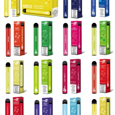 Vapeurs 600 Puffs Disposable Vape Device